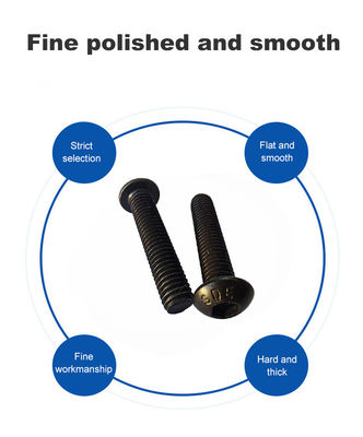 Distribuidor de tornillos hexagonales con revestimiento negro Plazo de pago TT Western Union Paypal Tarjeta de crédito estándar DIN