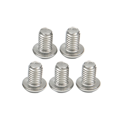 Acero inoxidable contrafundido Hex Socket cabeza de tornillo estándar Otros resistentes a la corrosión