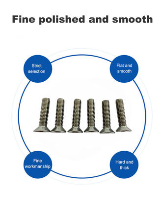 SS304 de acero inoxidable de cabeza plana torso de conexión de seguridad de la taza con norma ISO