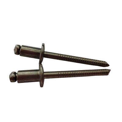 Cabeza redonda de acero inoxidable Rivet estándar Blanco 3.2 mm de extremo abierto Directo de alta resistencia