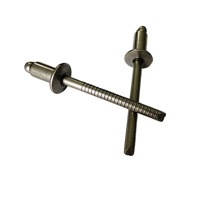Rivets estándar de acero inoxidable de 10 mm con cabeza redonda y alta resistencia