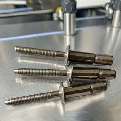 Nombre del artículo Tipo de bloqueo personalizado Rivets ciegos Rivets de hierro con otro bloqueo externo