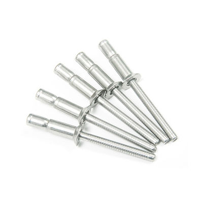 Finish plateado Cabeza redonda tira 304 acero inoxidable Cabeza abierta contrafundida Rivets ciegos