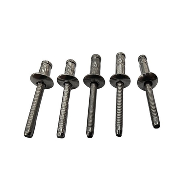 Rivets ciegos en forma de hipocampo de acero inoxidable caliente con servicio personalizado de una sola parada