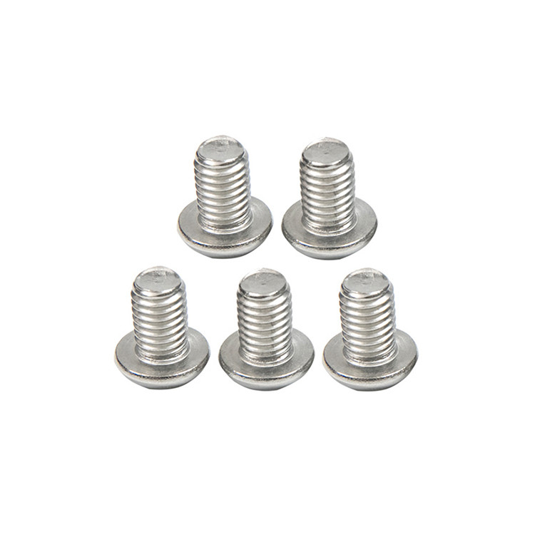Acero inoxidable contrafundido Hex Socket cabeza de tornillo estándar Otros resistentes a la corrosión