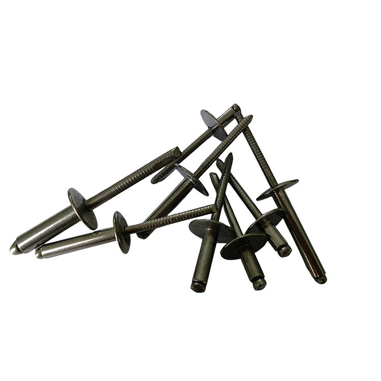 Tipo abierto estándar de ferrocarril tronco de rotura de hierro borde grande cabeza redonda remaches profesionales