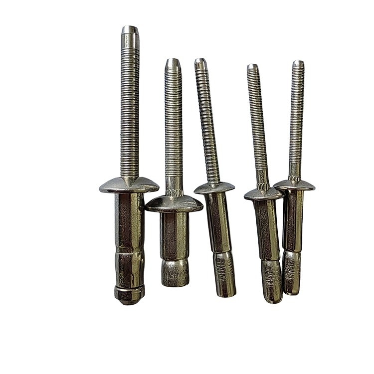 Rivets ciegos de tipo de bloqueo competitivo en material de acero inoxidable con acabado brillante